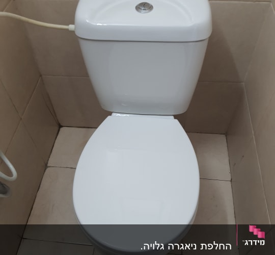 אסלה לבנה עם מיכל הדחה וכפתור לחיצה